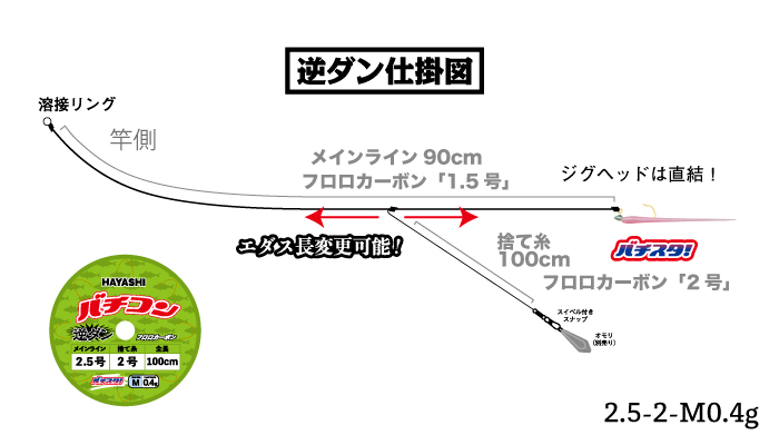 バチコンアジング仕掛