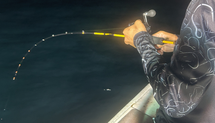 IZANAI STICK IS-70T 轟深