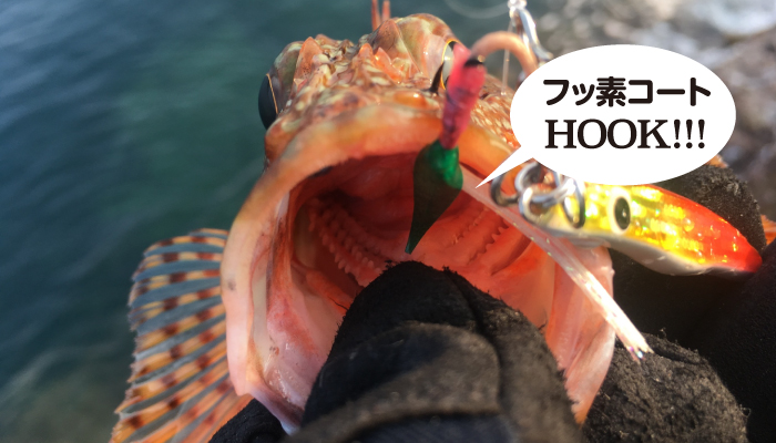 土佐かぶら 魚皮アシスト