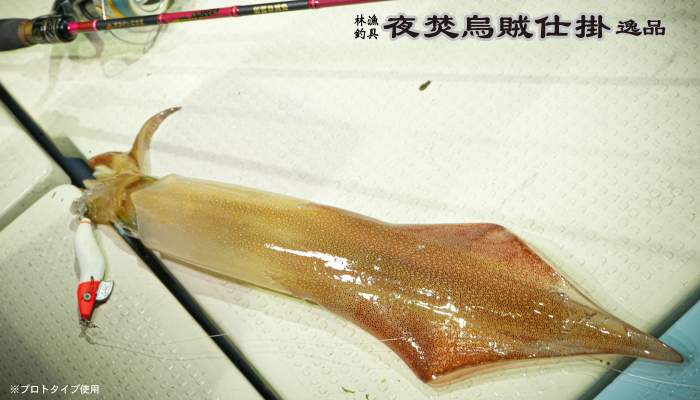 夜焚烏賊仕掛 逸品